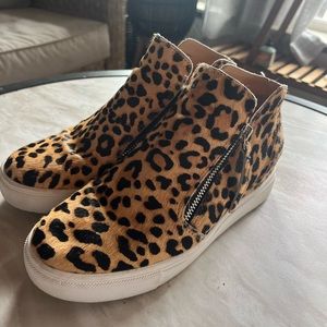 Steve Madden Women's Fashion Sneaker